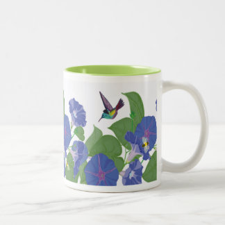 Bicolor Correhuela y verde de la taza de los colibríes