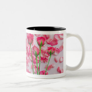 Bicolor Diseño de taza floral de pétalos de rosa rosa eleg