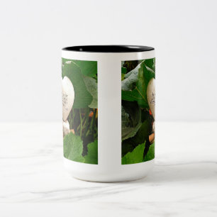 Bicolor ¡Disfruta de una taza pacífica de tu cerveza favor