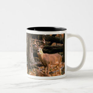 BICOLOR ¡DÓLAR ENORME! TAZA