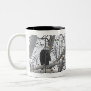 Bicolor Eagles en la taza magnífica del lago