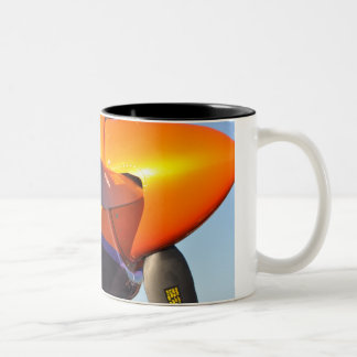 Bicolor El aire compite con la taza