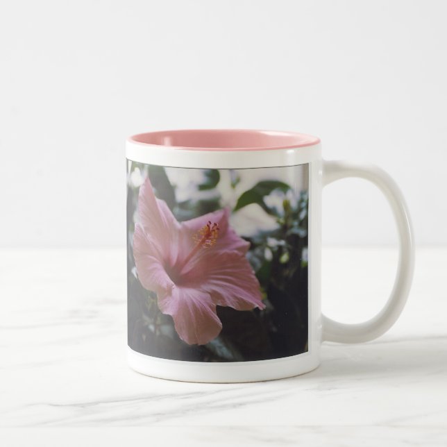 Bicolor El jardín de dios - taza (Derecha)
