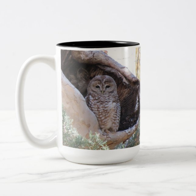 Bicolor El mexicano manchó la taza del búho, (Izquierda)