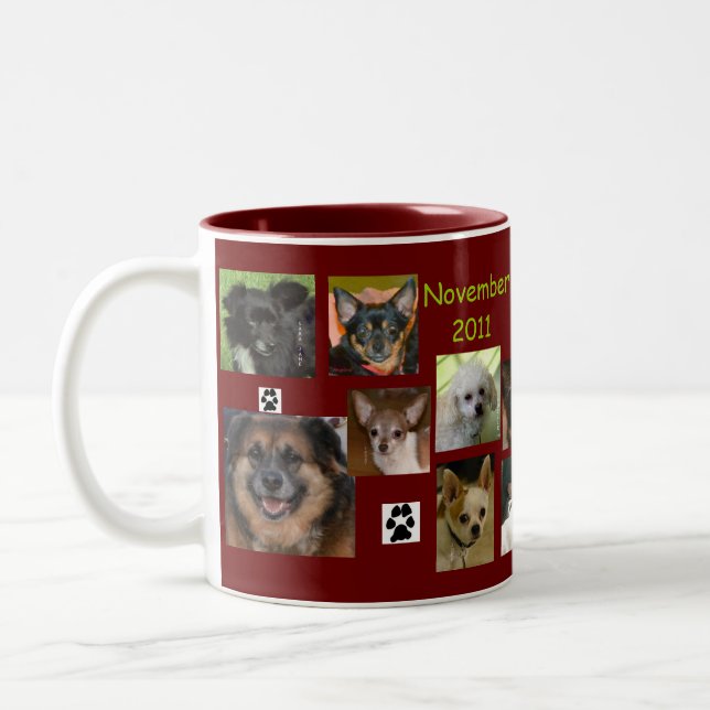 Bicolor en noviembre de 2011 taza (Izquierda)