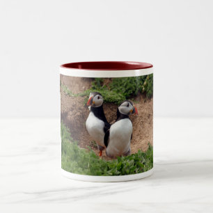 Bicolor Encuentre su taza del frailecillo del complemento