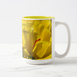 Bicolor ¡Feliz Semana de las Enfermeras! Regalos de taza F