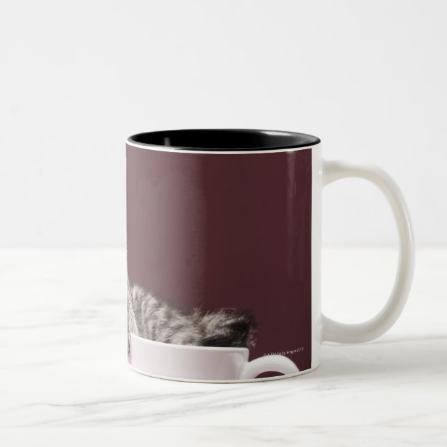 Bicolor Gatito en taza y platillo (Derecha)