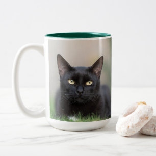 Bicolor gato negro - taza de café