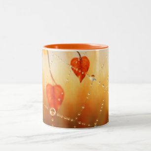 Bicolor Gemas de una taza matutina de otoño
