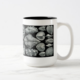 Bicolor Haeckel descasca la taza
