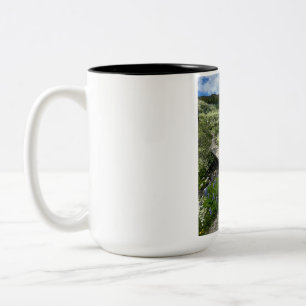 Bicolor Hermoso paisaje de la naturaleza Taza de café de d