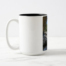 Hermoso paisaje de la naturaleza Taza de café de d