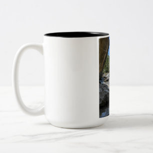 Bicolor Hermoso paisaje de la naturaleza Taza de café de d