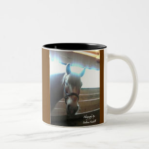 Bicolor Howdy taza