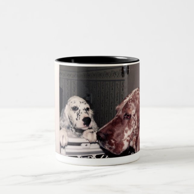 Bicolor inglés. taza del organismo (Centro)