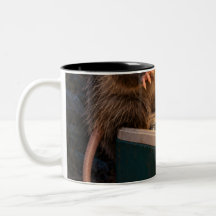 Inspección de refrigerio de medianoche Taza negra