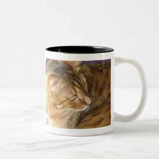 Bicolor Kishka brilla en taza del oro