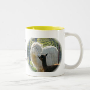 Bicolor La alpaca besa la taza