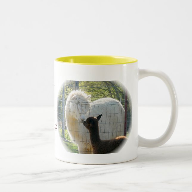 Bicolor La alpaca besa la taza (Derecha)