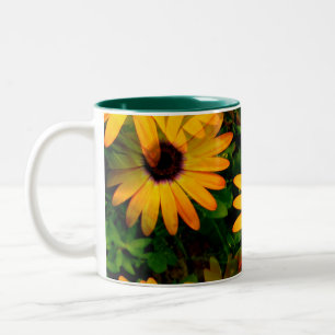 Bicolor La margarita anaranjada tiene gusto de la taza