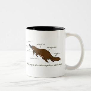 Bicolor La taza asombrosa de Platypus