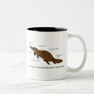 Bicolor La taza asombrosa de Platypus