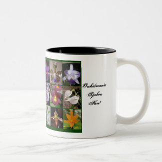 Bicolor La taza del amante de la orquídea