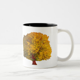 Bicolor La taza del árbol de la búsqueda