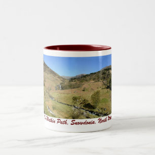 Bicolor La trayectoria de Watkin, Snowdonia, taza del