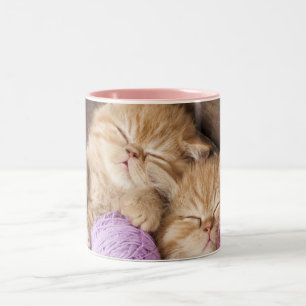 Bicolor Negro lindo del gato taza del Dos-Tono de 11 onzas