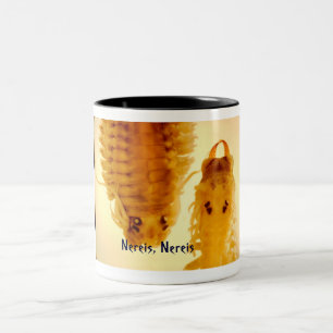 Bicolor Nereis, taza de Nereis
