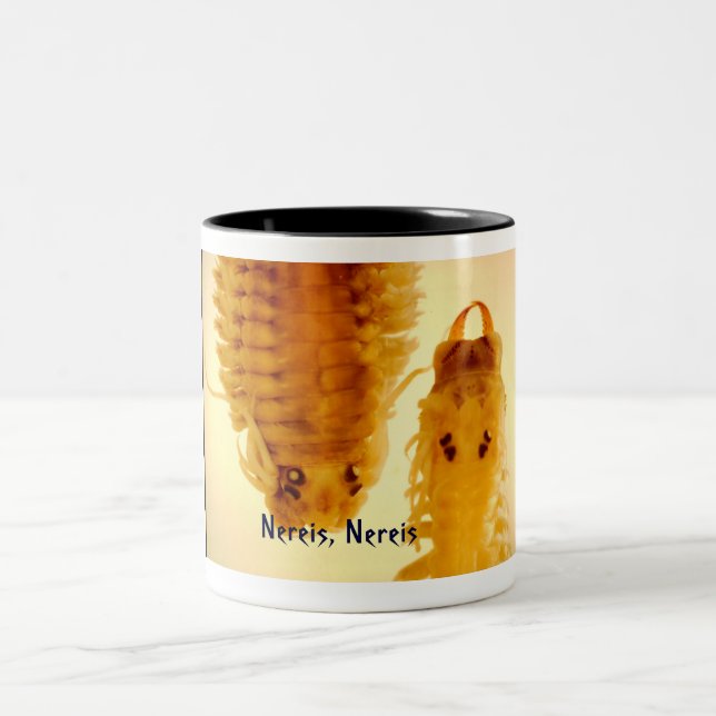 Bicolor Nereis, taza de Nereis (Centro)