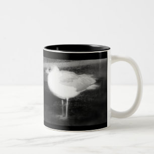 BICOLOR NUEVA TAZA DE LA GAVIOTA