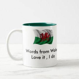 Bicolor Palabra de D6G de la taza de País de Gales