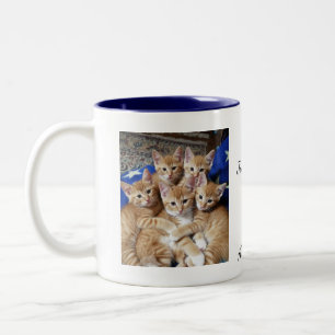 Bicolor Patrón de foto de gatos, taza