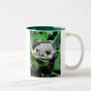 Bicolor Ribbit, taza del Dos-Tono de Ribbit