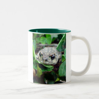 Bicolor Ribbit, taza del Dos-Tono de Ribbit