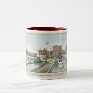 Bicolor Rochester NY - Taza