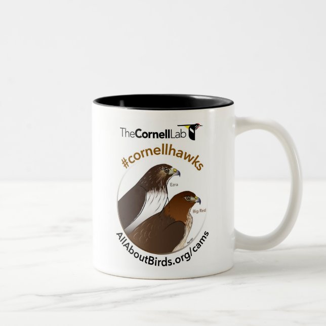 Bicolor Rojo grande y taza del ilustracion de Ezra (Derecha)