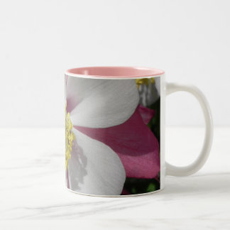Bicolor Rosa/púrpura florales de la taza