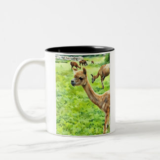 Bicolor Salvar el drama por tu taza de llamada