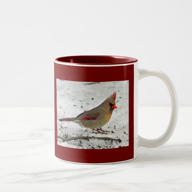 Bicolor Señora Cardinal en taza de la nieve (Derecha)