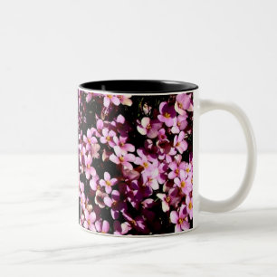 Bicolor Sistema de la taza de la familia