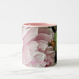 Bicolor Taza