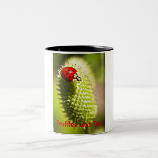 Bicolor Taza