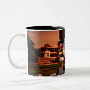 Bicolor Taza