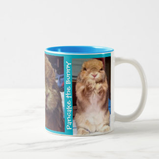 Bicolor Taza
