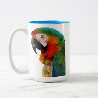 Bicolor Taza