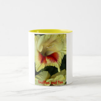 Bicolor Taza